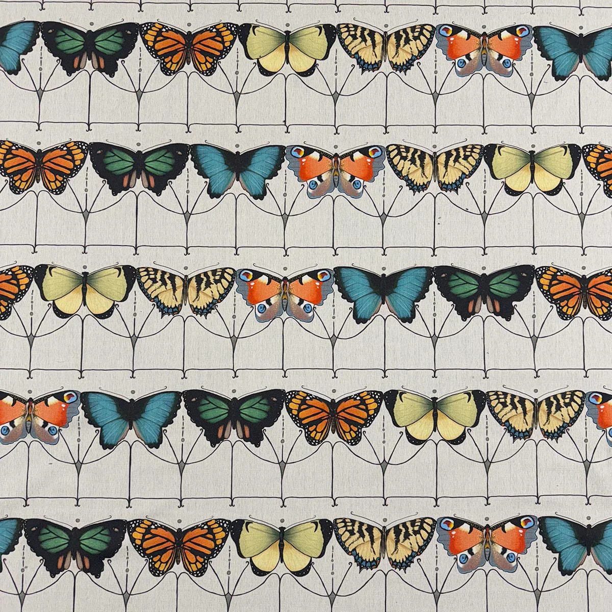 12276 | Flutter Chromatic - Mag Fabric