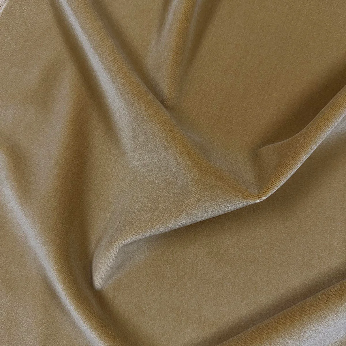 12285 | Moyra Coin - Mag Fabric