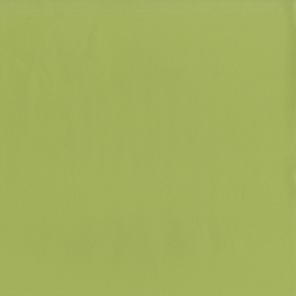 12547 | Sentinel Pistachio - Mag Fabric