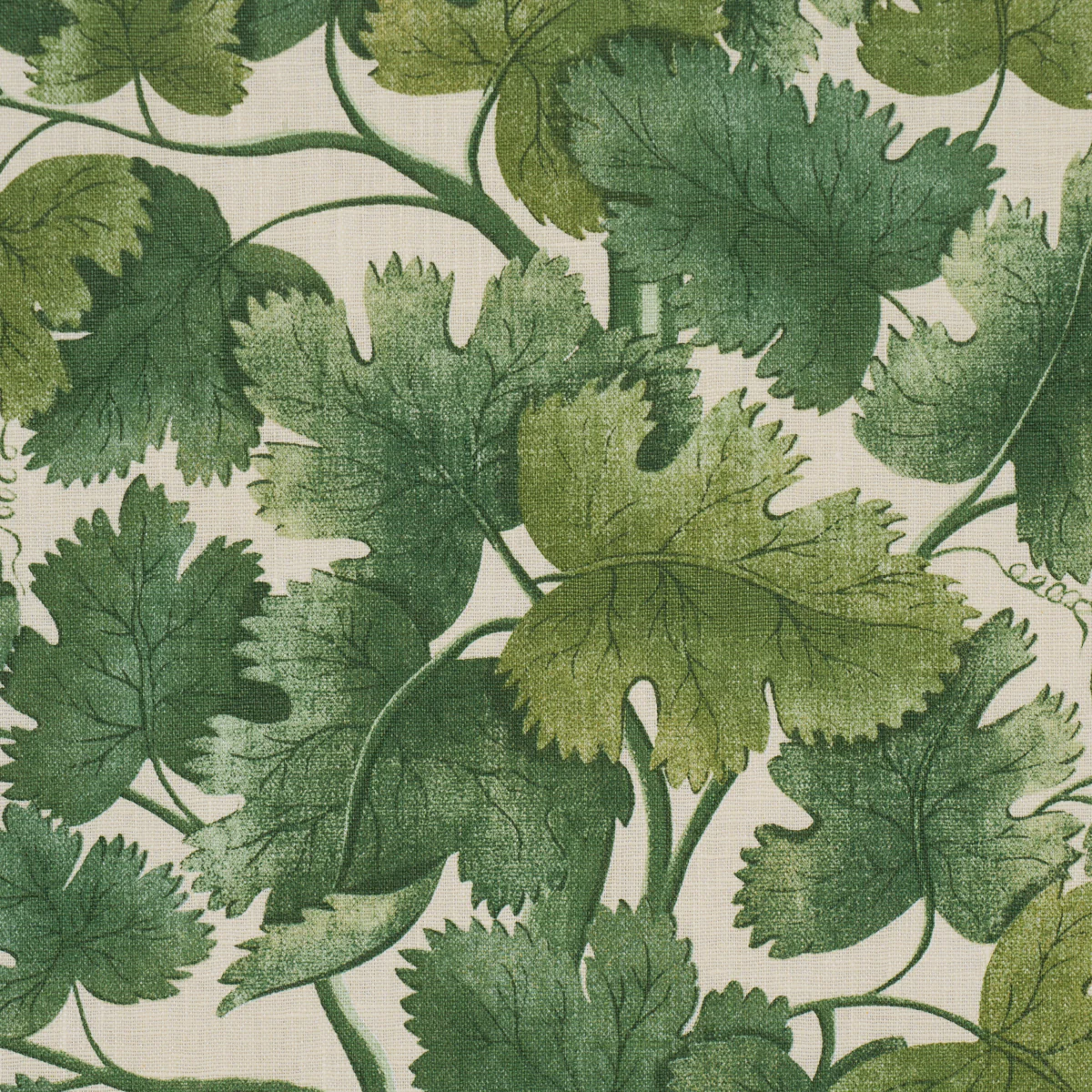 182791 | Edinburgh Vine, Forest - Schumacher Fabric - Image 3