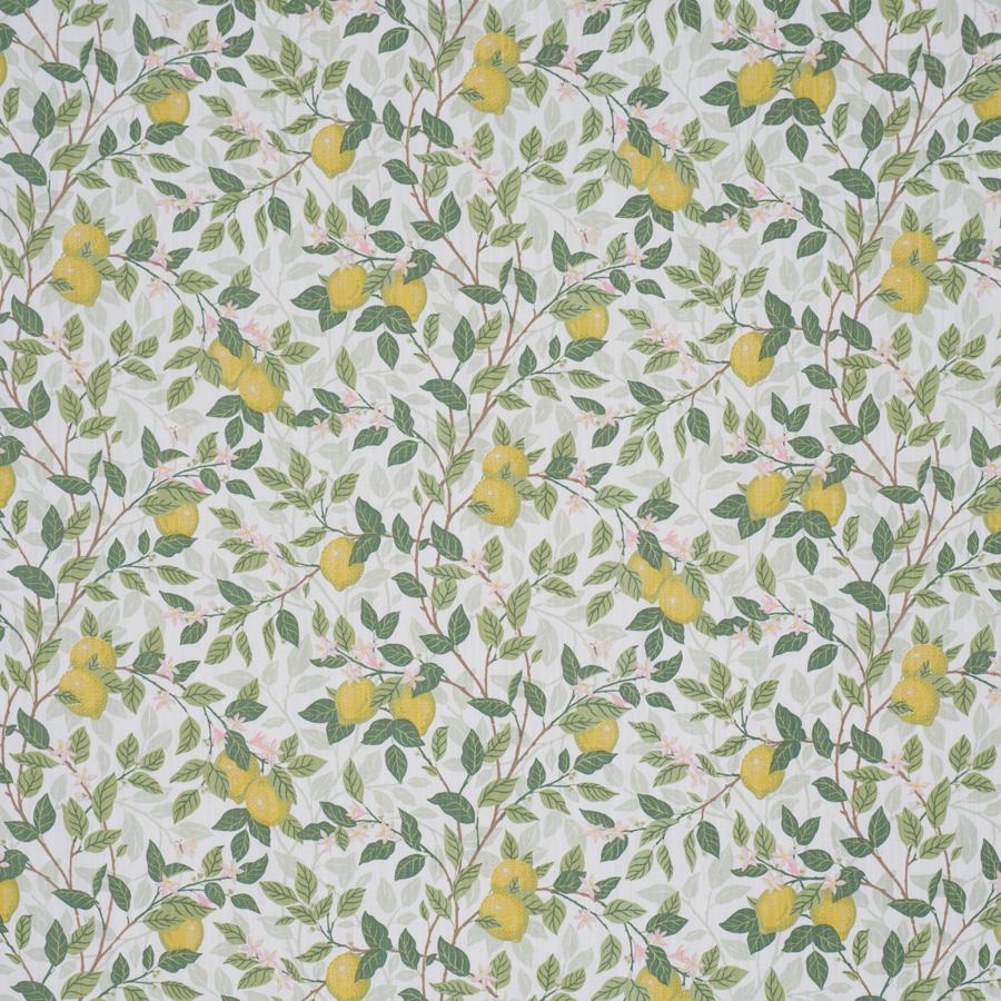 182950 | Citrontrad, Ivory And Leaf - Schumacher Fabric