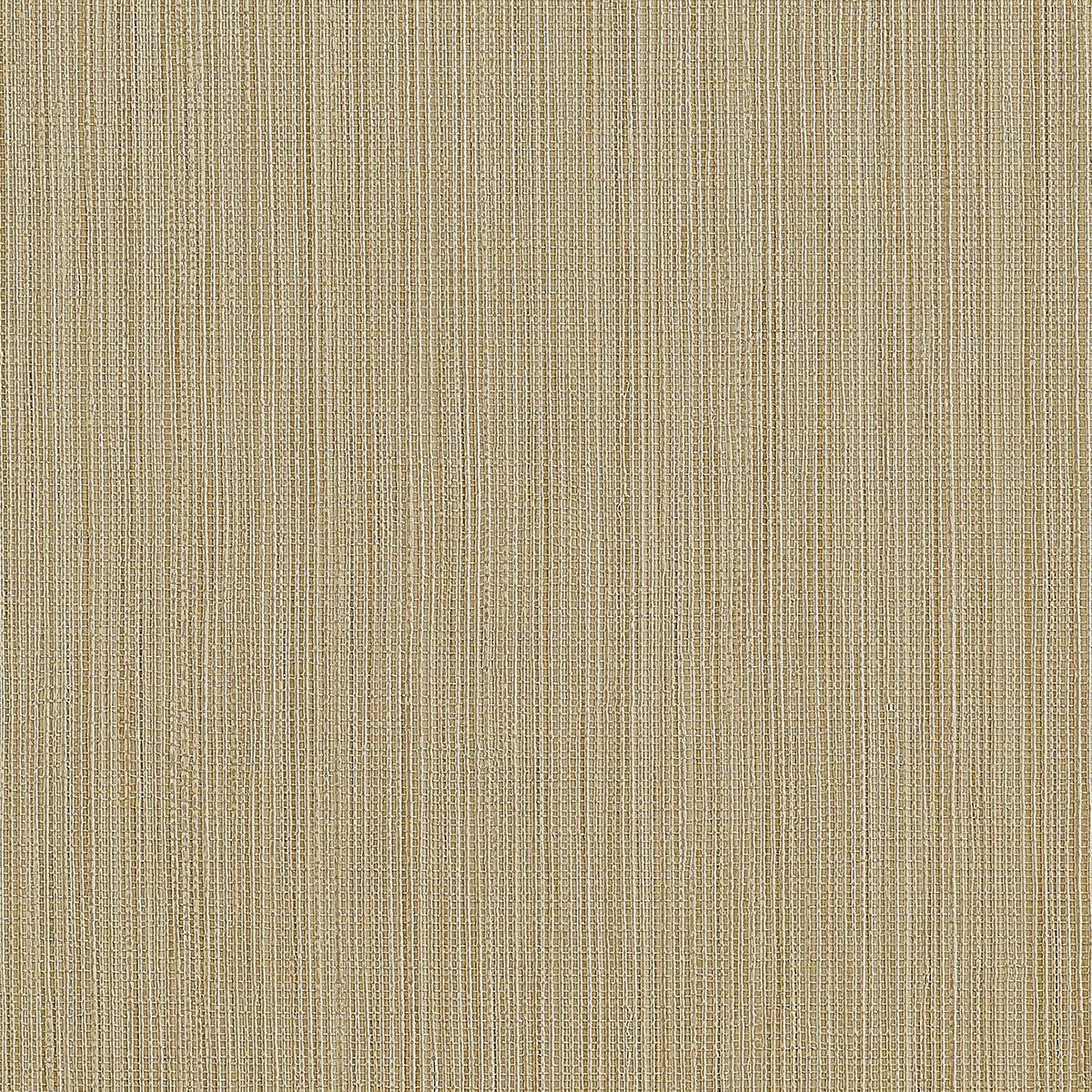 34703 | Vinyl Sisal Strings, Butterscotch - Phillip Jeffries Wallpaper