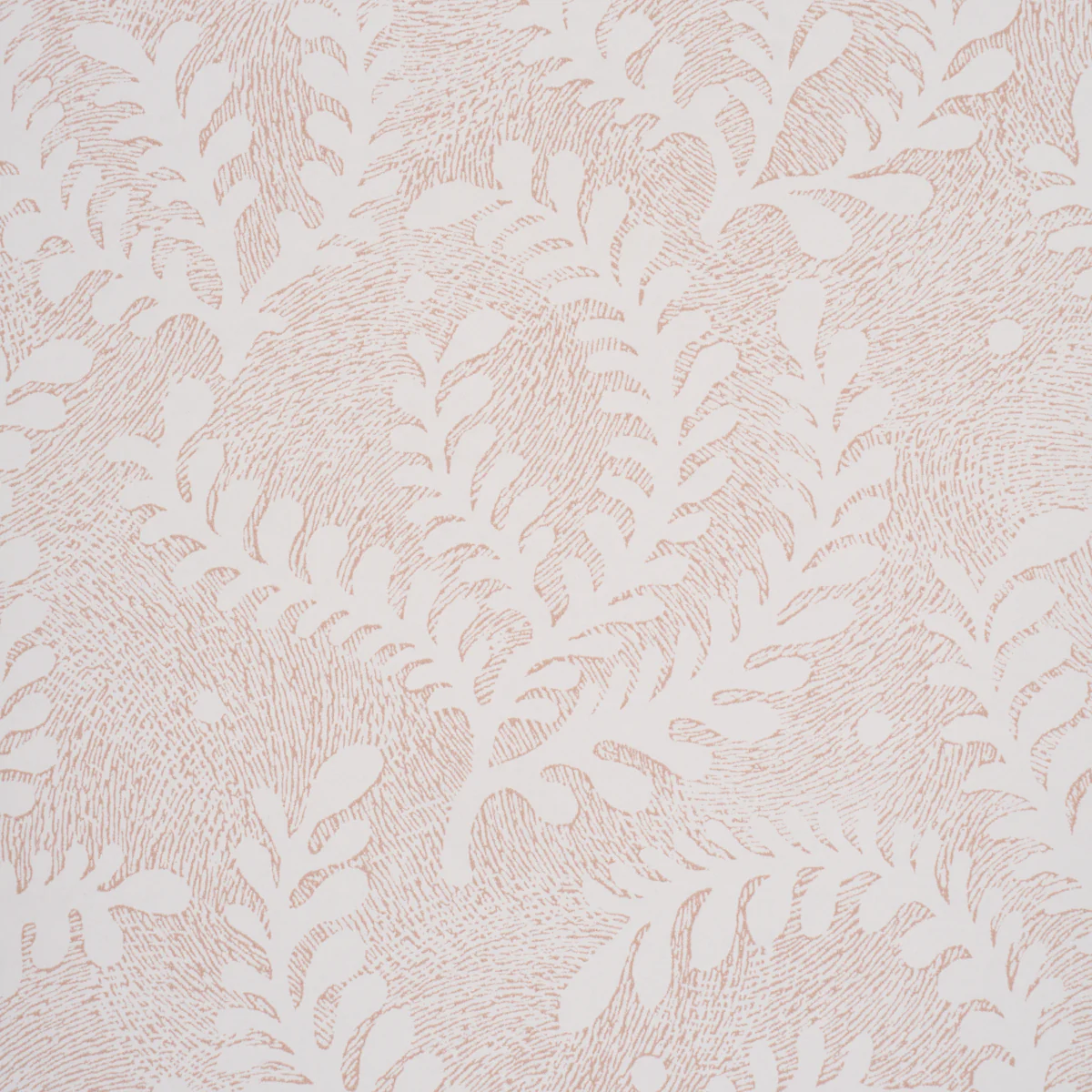 5010384 | Etched Fern, Blush - Schumacher Wallpaper - Image 3