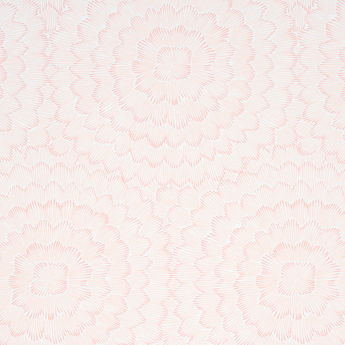 5013823 | Feather Bloom, Salmon - Schumacher Wallpaper