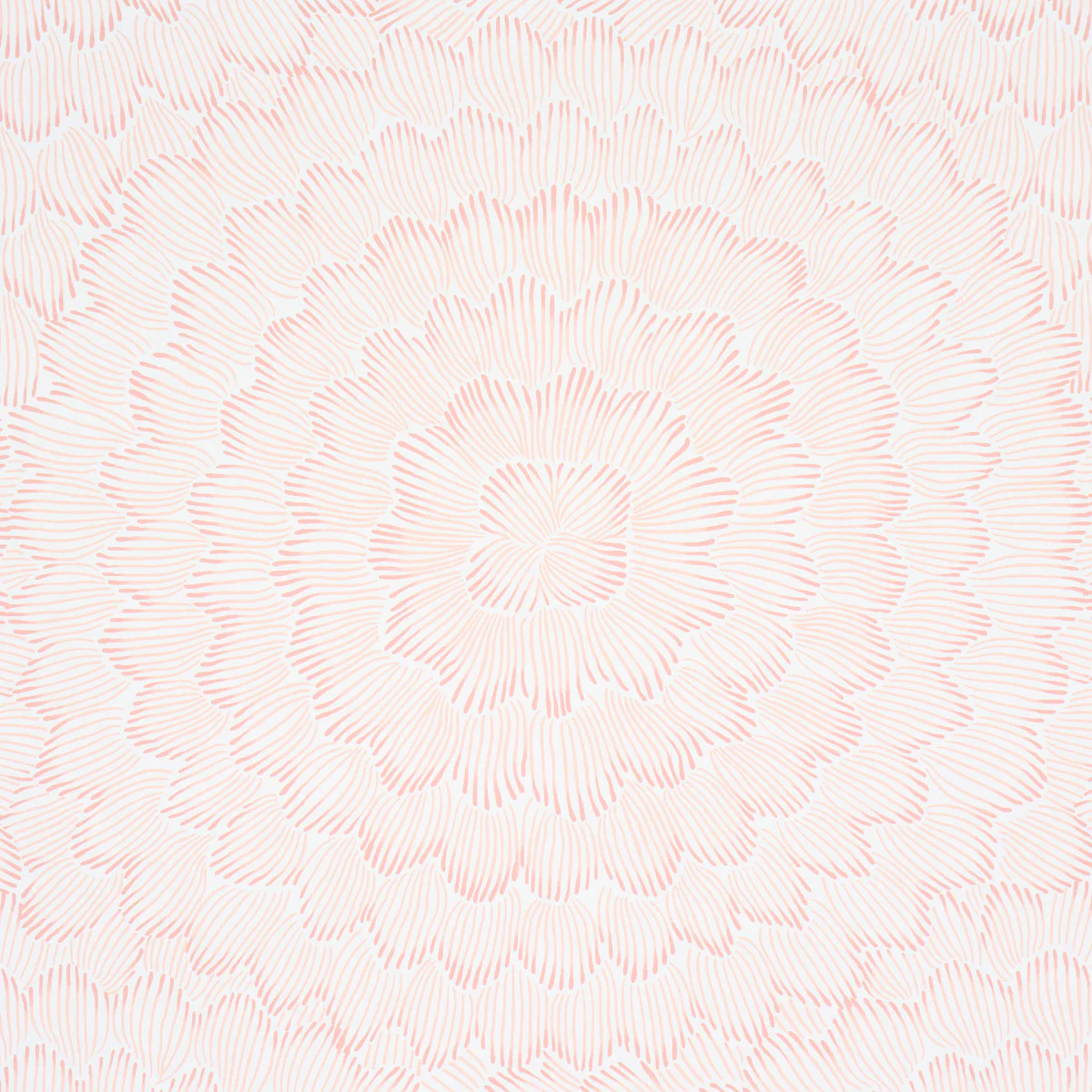 5013823 | Feather Bloom, Salmon - Schumacher Wallpaper - Image 3