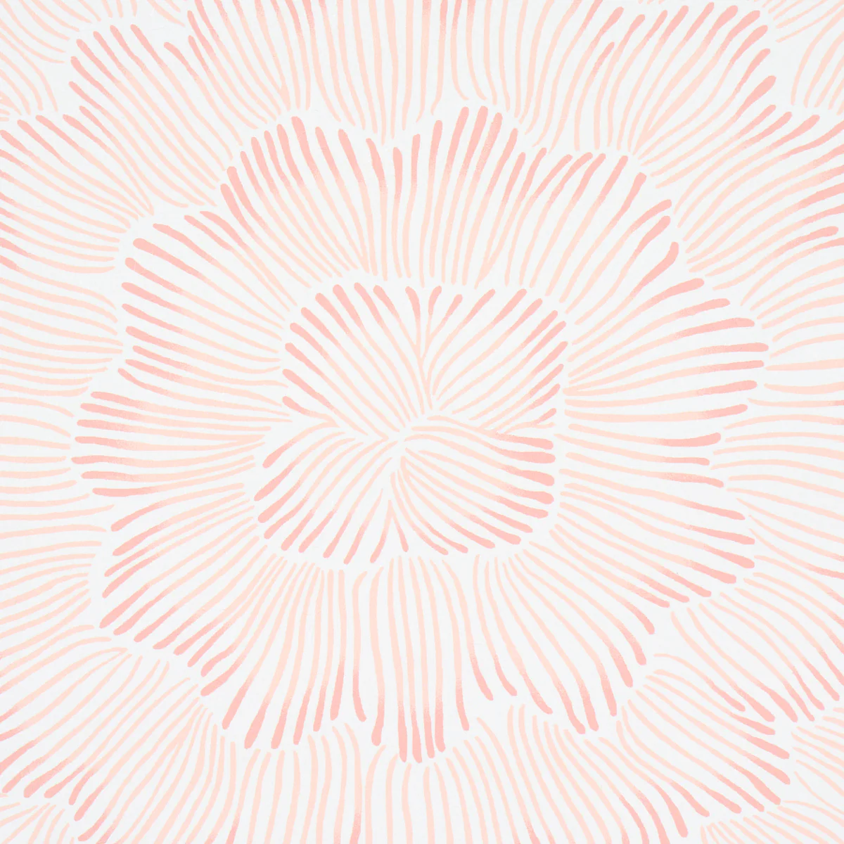 5013823 | Feather Bloom, Salmon - Schumacher Wallpaper - Image 4