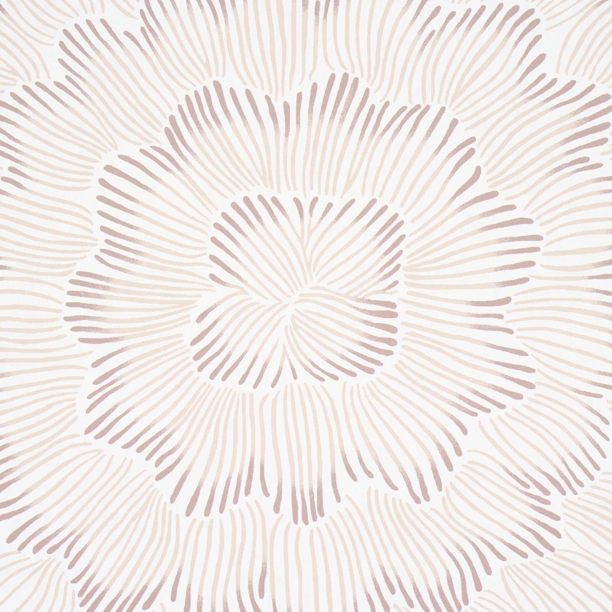 5013824 | Feather Bloom, Chai - Schumacher Wallpaper - Image 4