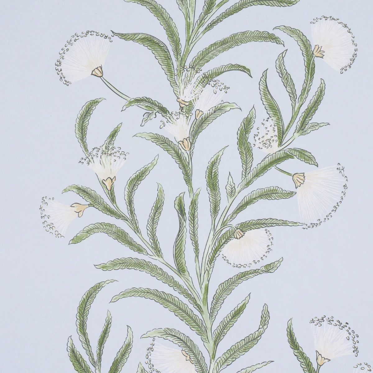 5015363 | Tasmanian Mimosa, Sky - Schumacher Wallpaper - Image 3