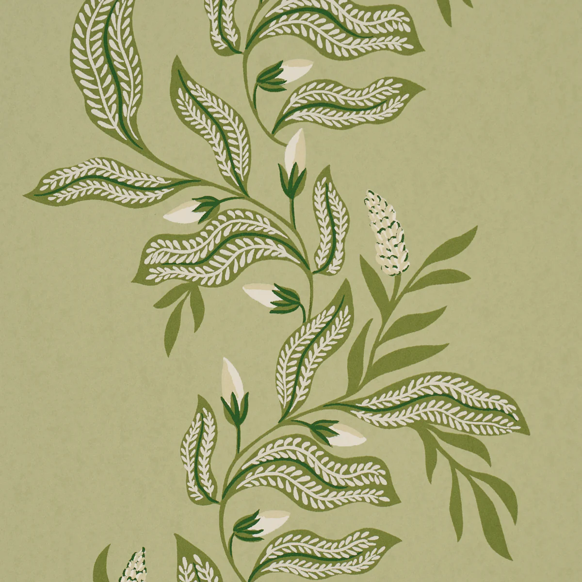 5016970 | Vagary Vines, Honeydew - Schumacher Wallpaper - Image 3