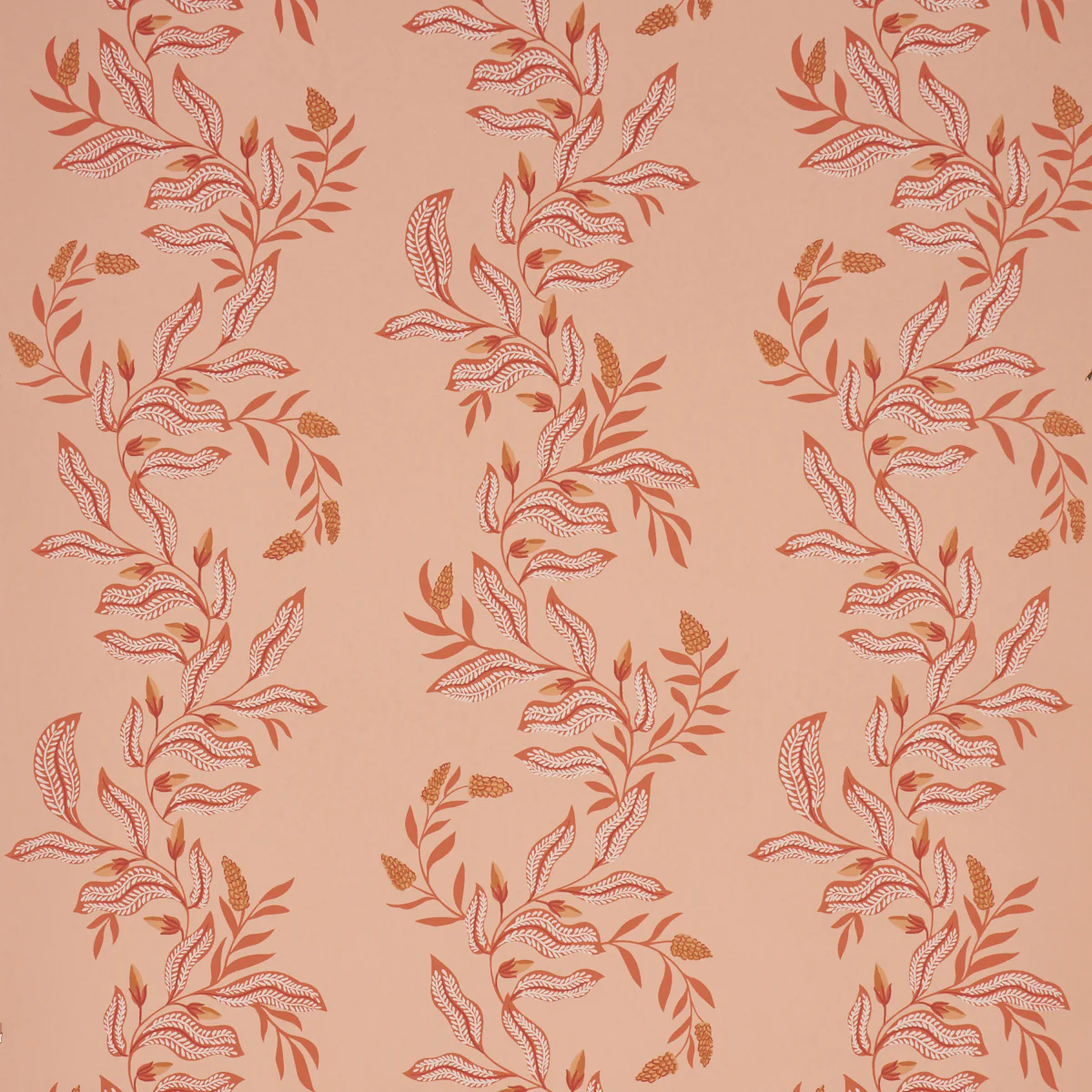 5016971 | Vagary Vines, Papaya - Schumacher Wallpaper