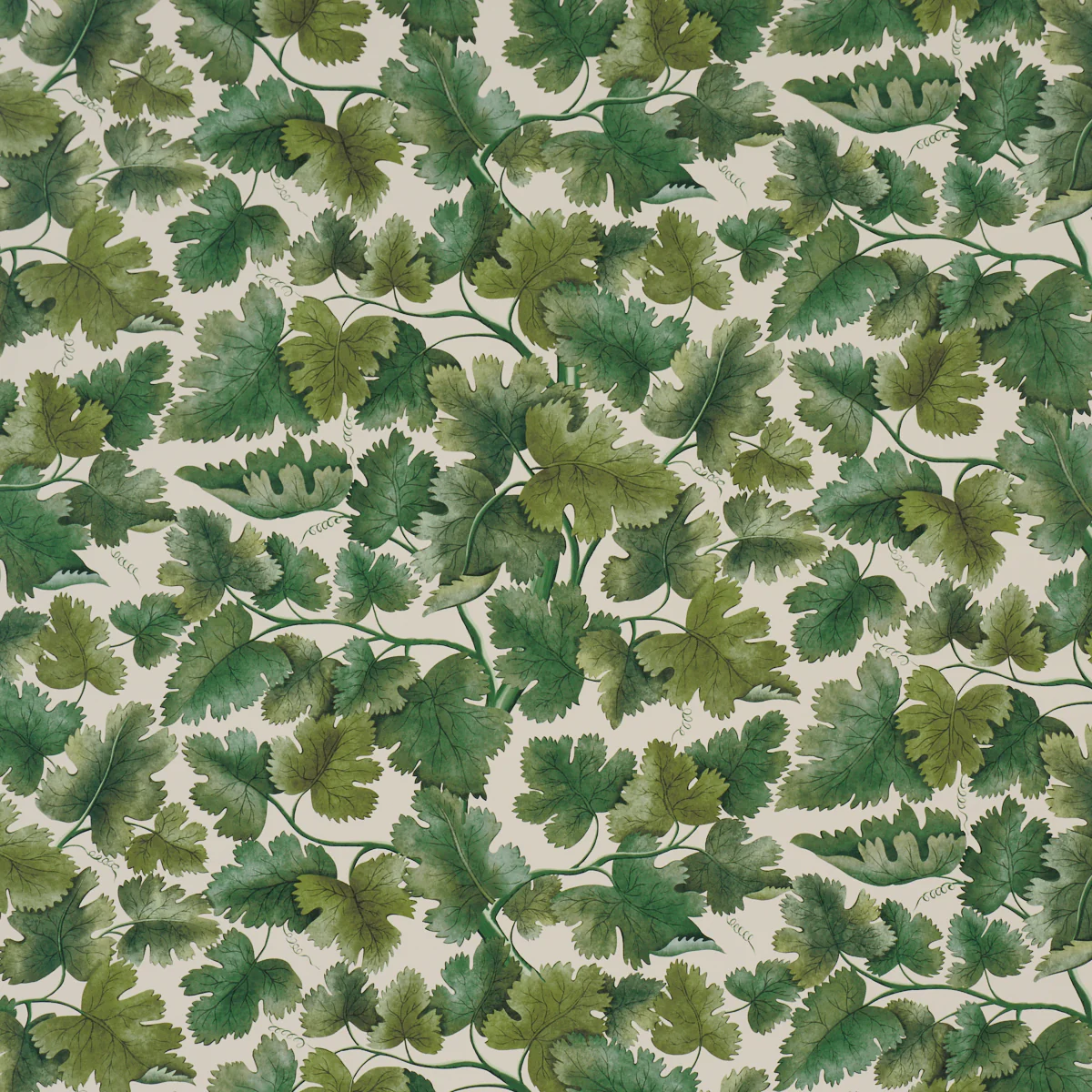 5017730 | Edinburgh Vine, Moss - Schumacher Wallpaper