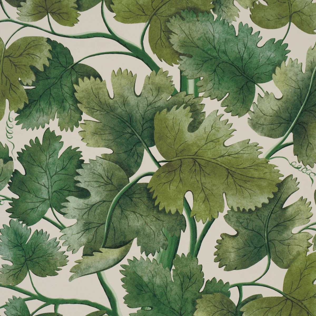 5017730 | Edinburgh Vine, Moss - Schumacher Wallpaper - Image 3