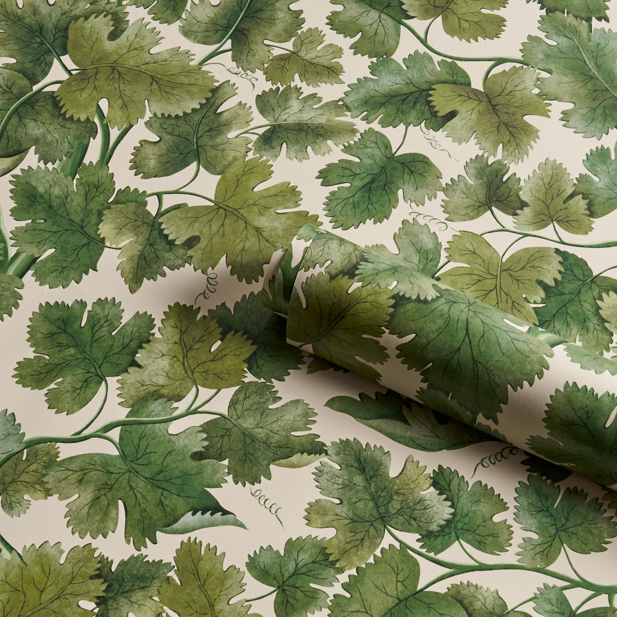 5017730 | Edinburgh Vine, Moss - Schumacher Wallpaper - Image 4