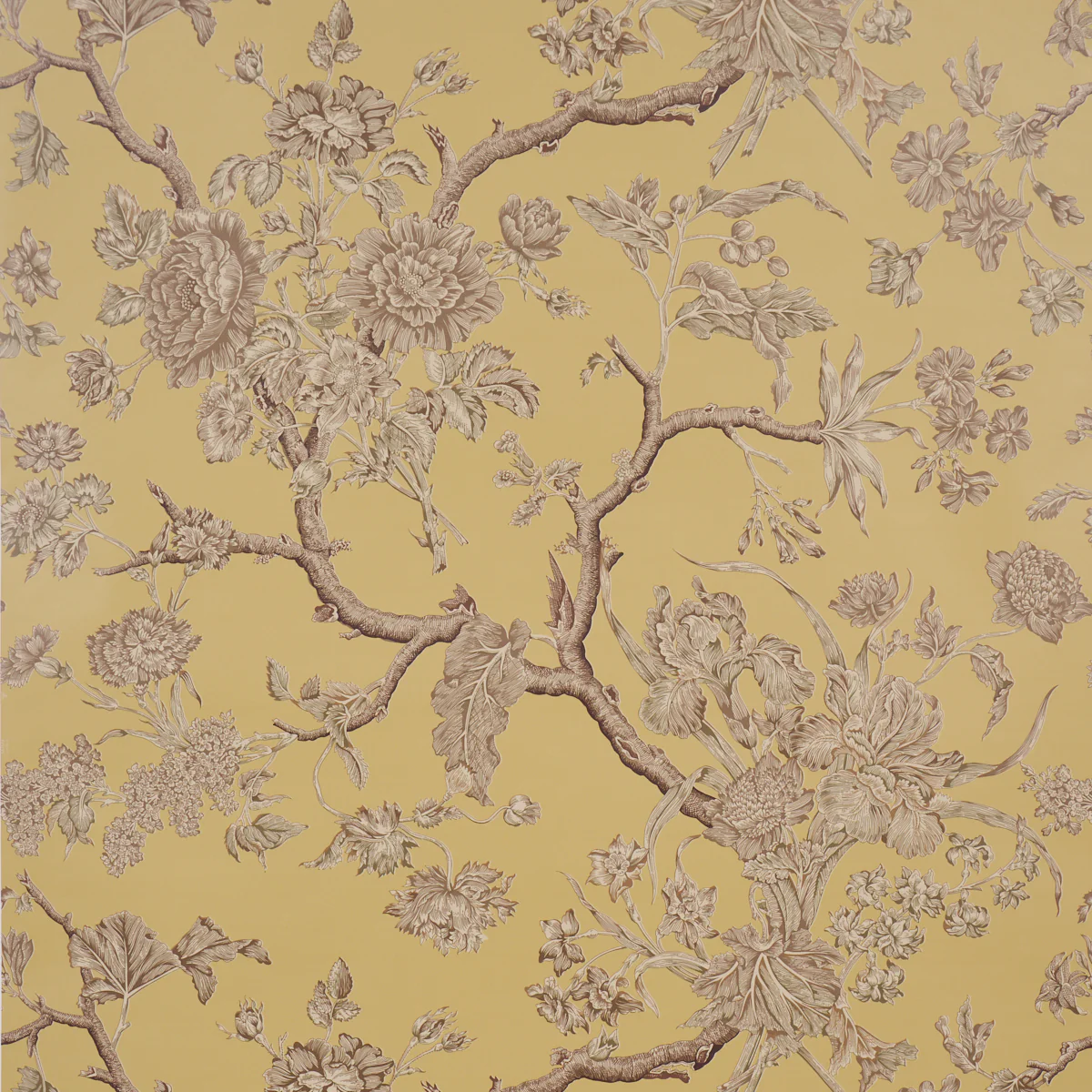 5017971 | Inverness Garden, Buttercup - Schumacher Wallpaper