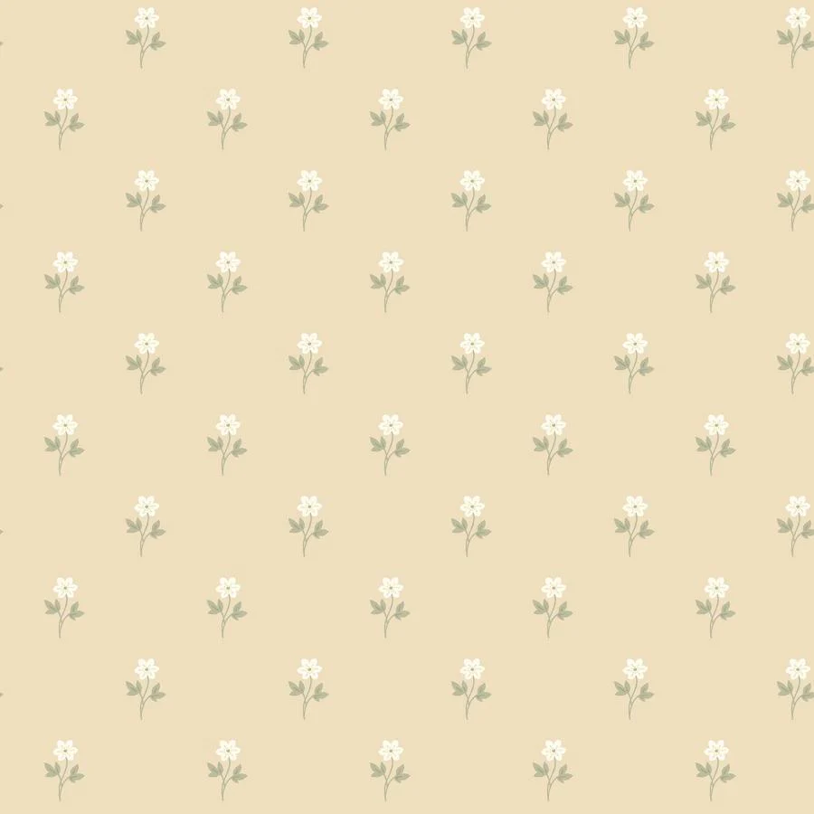 6972 | Anemone By Borastapeter, Wheat - Borastapeter Wallpaper