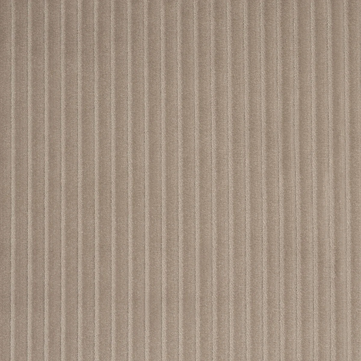 80459 | Wyatt Corduroy, Sandstone - Schumacher Fabric - Image 3