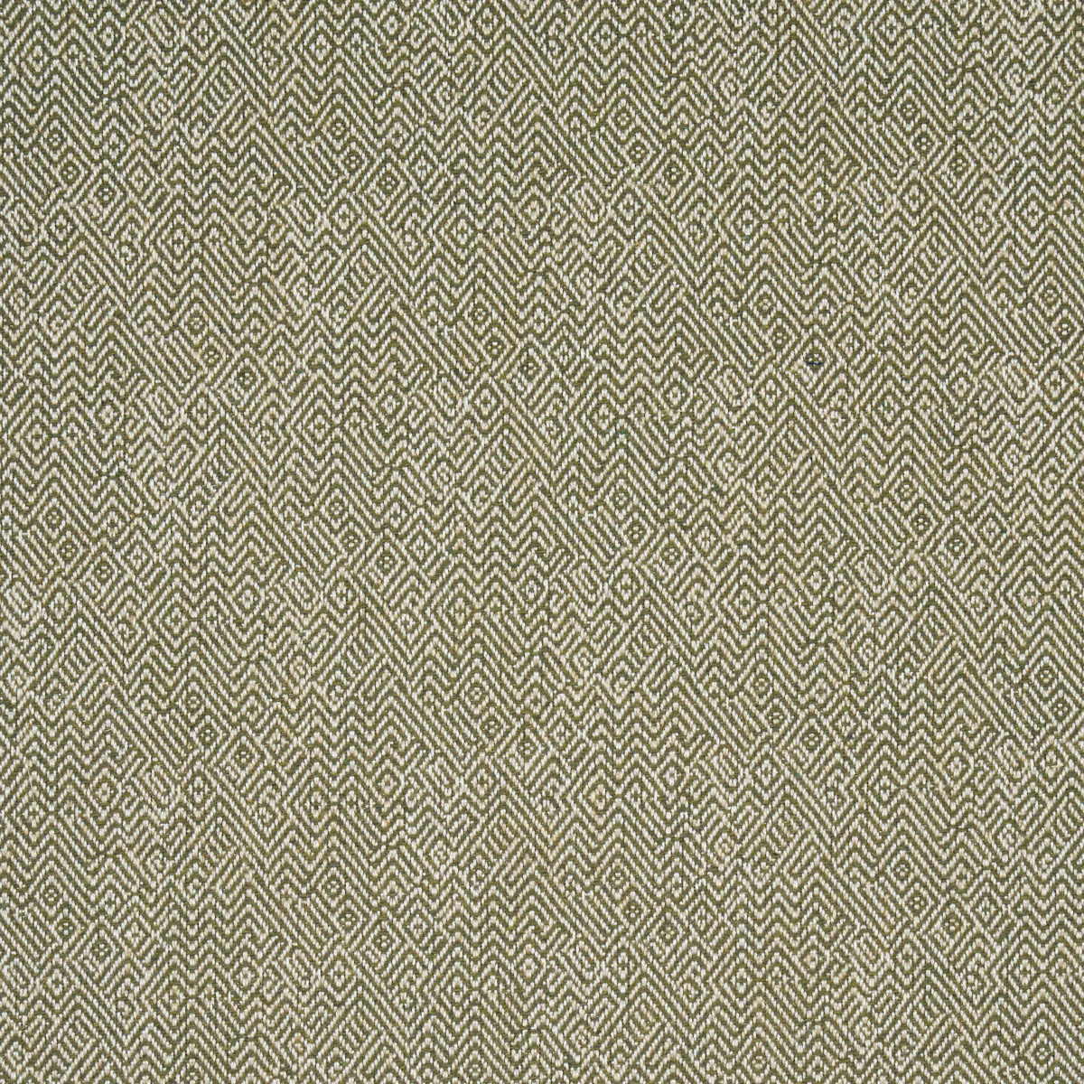 87631 | Leona Performance, Green - Schumacher Fabric