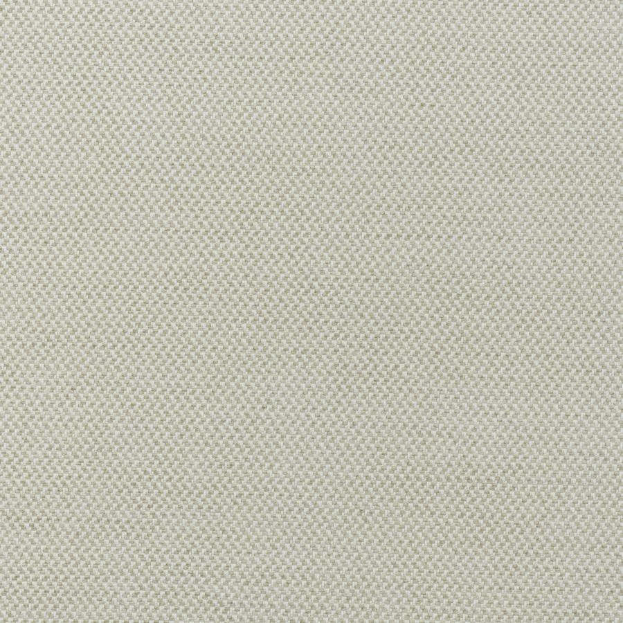 Am100476.16.0 | Sanremo, Andrew Martin Veneto - Kravet Couture Fabric