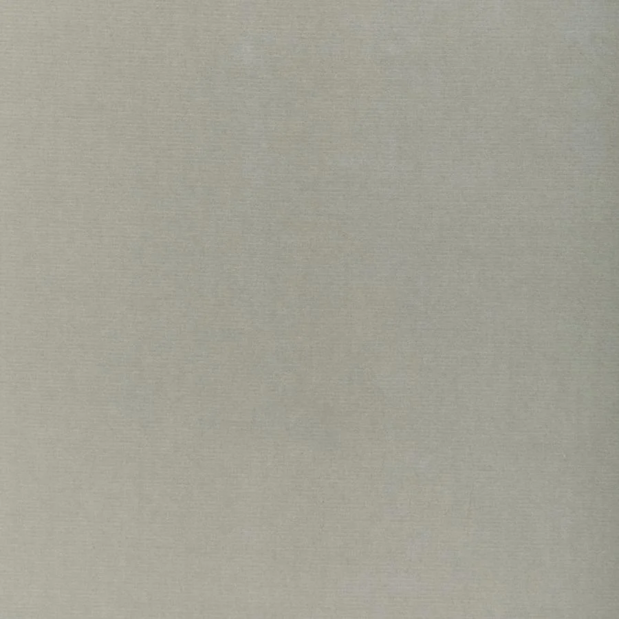 Dg-10158.1101.0 | Covet, Oyster - Donghia Fabric