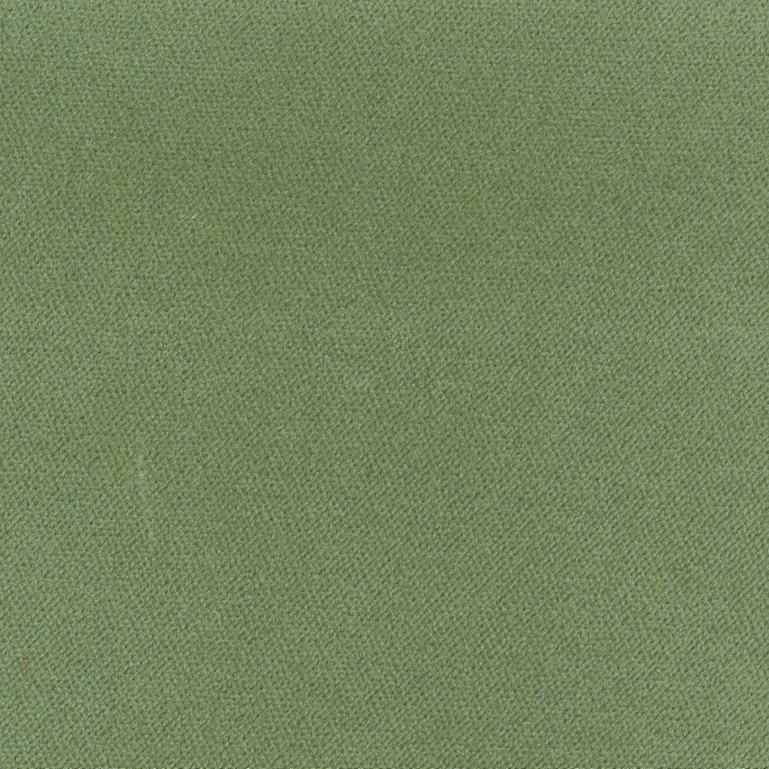 S7806 Meadow | Solid, Green - Greenhouse Fabric