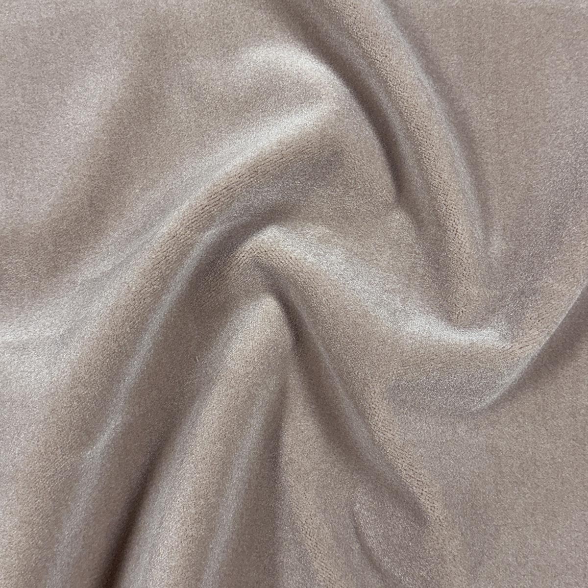 Sample - Mag Fabric, Moyra Thistle