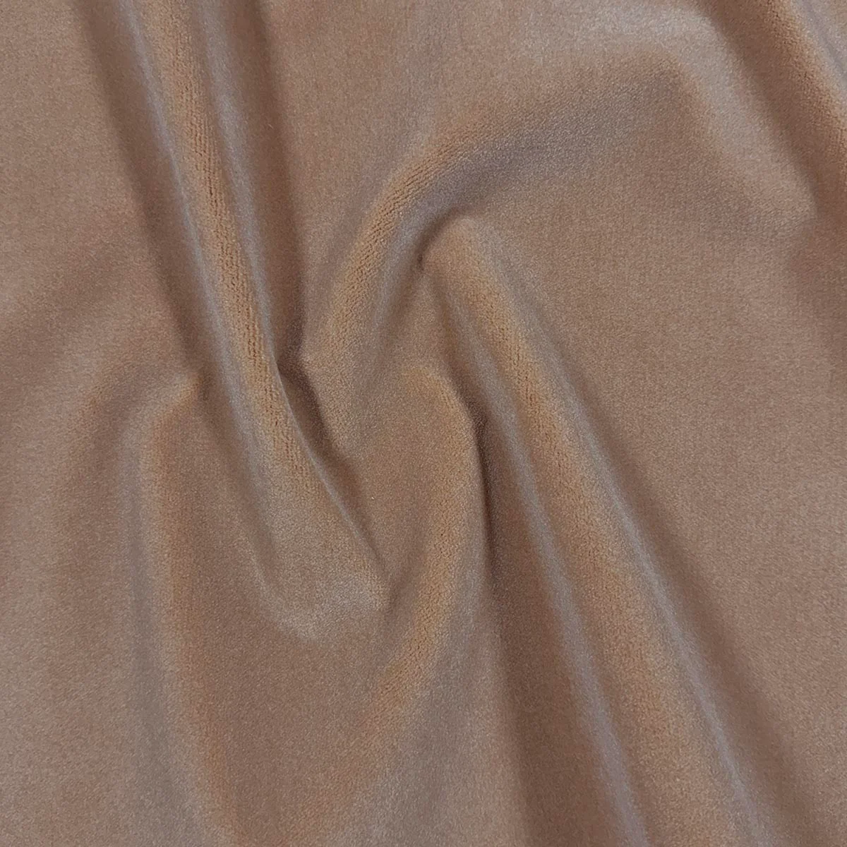 Sample - Mag Fabric, Moyra Ballet