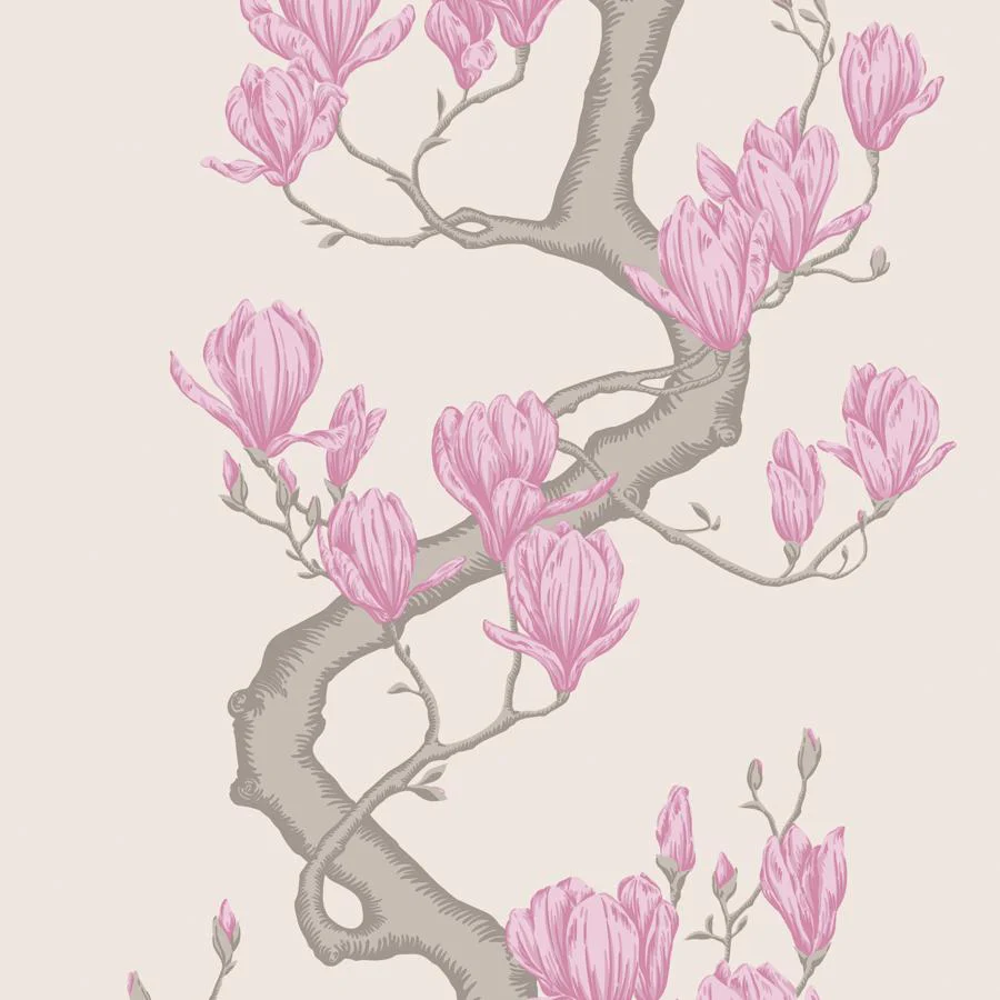 Sample - 128/1002 | Magnolia Tree, Parchment Botanical - Cole & Son Wallpaper