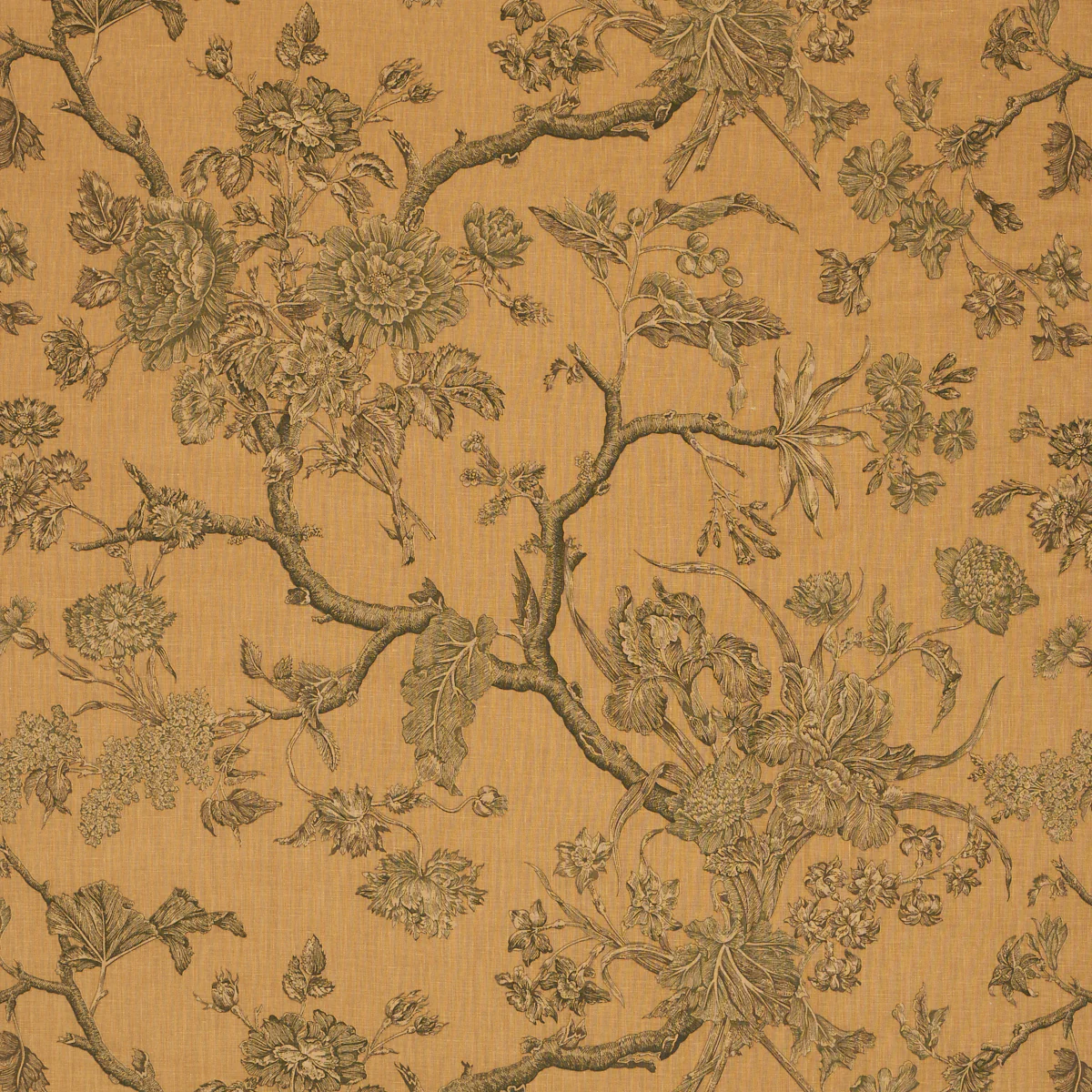 Sample - 182830 | Inverness Garden, Document - Schumacher Fabric