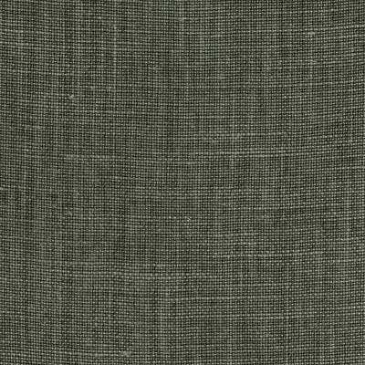 Sample - 37625.311.0 | Mendoza Linen, Alfredo Paredes Cocuyo - Kravet Couture Fabric
