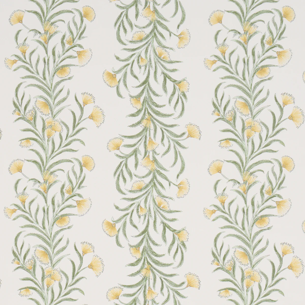 Sample - 5015365 | Tasmanian Mimosa, Marigold - Schumacher Wallpaper