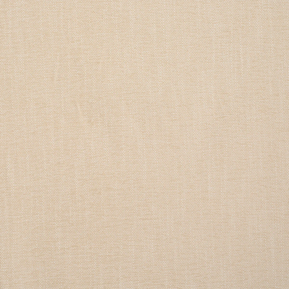 Sample - 85524 | Dean Indoor/Outdoor, Ecru - Schumacher Fabric