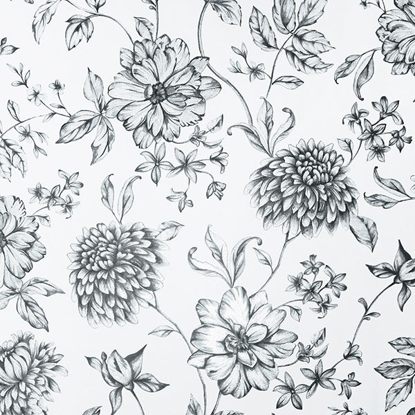 Sample - AH692507 Brewster Wallpaper, Della Black Floral Trail Arthouse