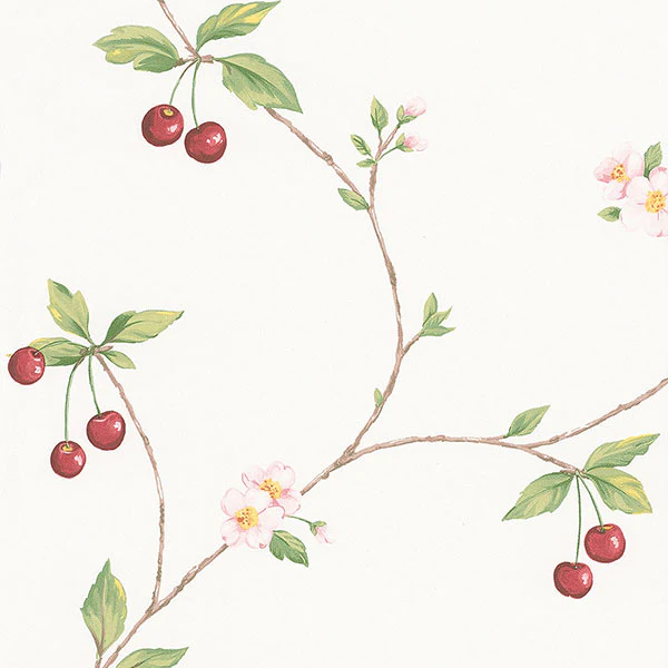 Sample - Fk26957 | Fresh Kitchens 5, Red Fruit - Norwall Wallpaper