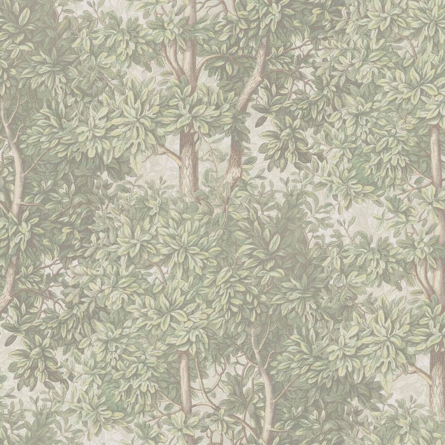 Sample - S10712 | Charles, Light Green - Sandberg Mural