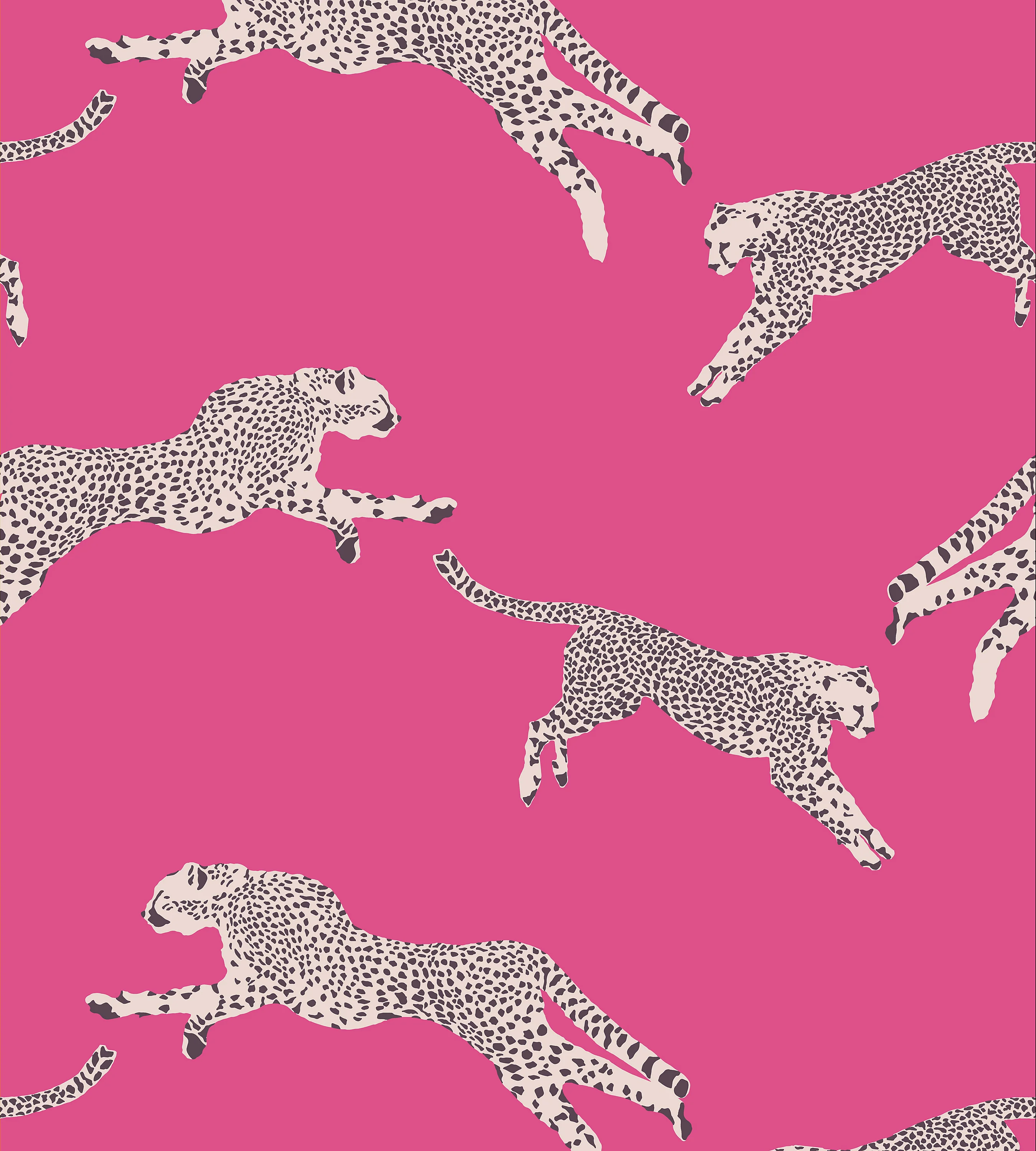 Sample - Scalamandre Wallpaper SCWP88449D0003, Leaping Cheetah Bubblegum