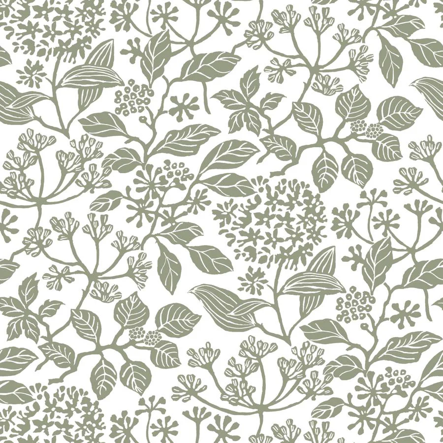 Sample - W4485-21 | Kravet Design, Green Botanical - Kravet Design Wallpaper - W4485.21.0