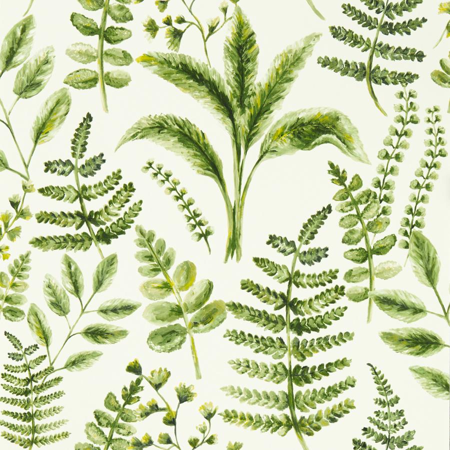 W0156/02 | Bracken, Green Botanical - Clarke And Clarke Wallpaper