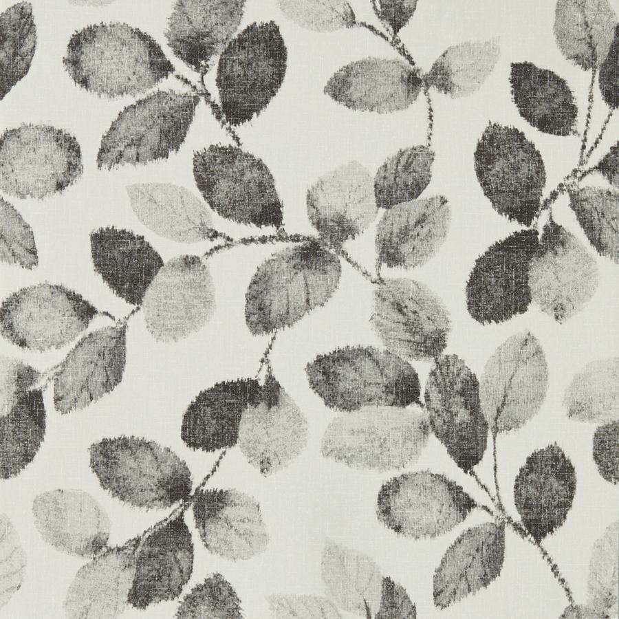 W0159/01 | Northia, Grey Botanical - Clarke And Clarke Wallpaper