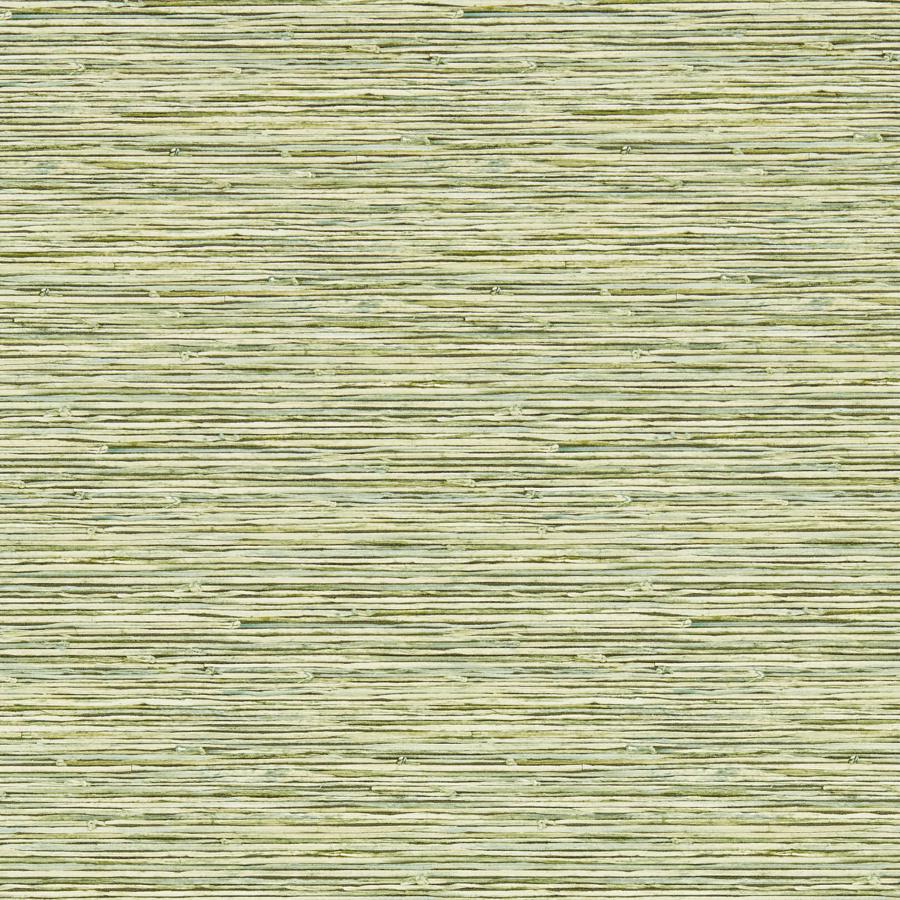 W0192/04 | Xan, Green Organic Textures - Clarke And Clarke Wallpaper