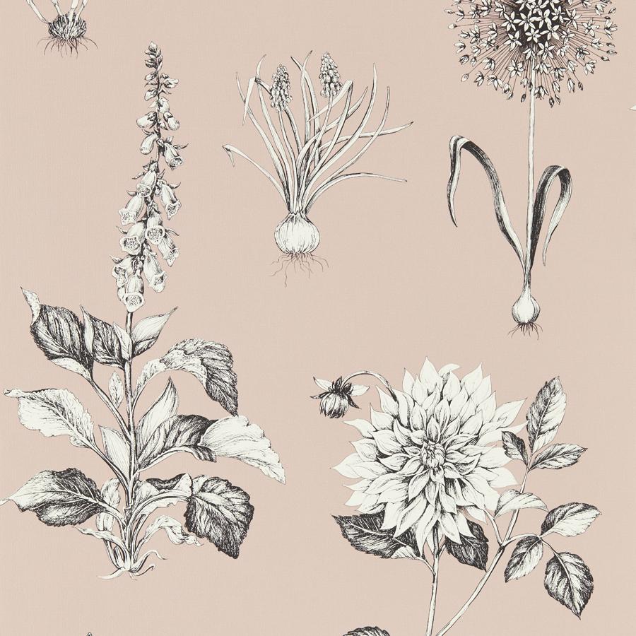 W0197/01 | Roseraie, Pink Botanical - Clarke And Clarke Wallpaper