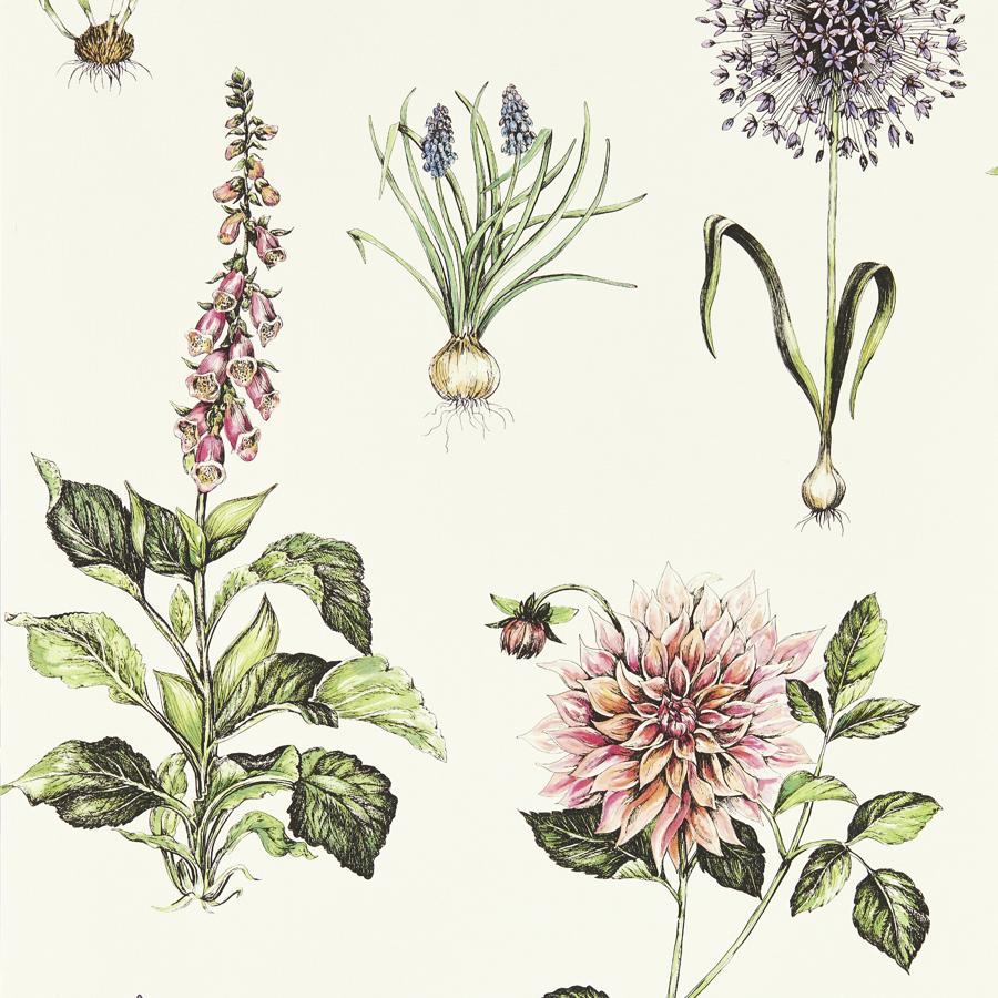 W0197/05 | Roseraie, Multi Color Botanical - Clarke And Clarke Wallpaper