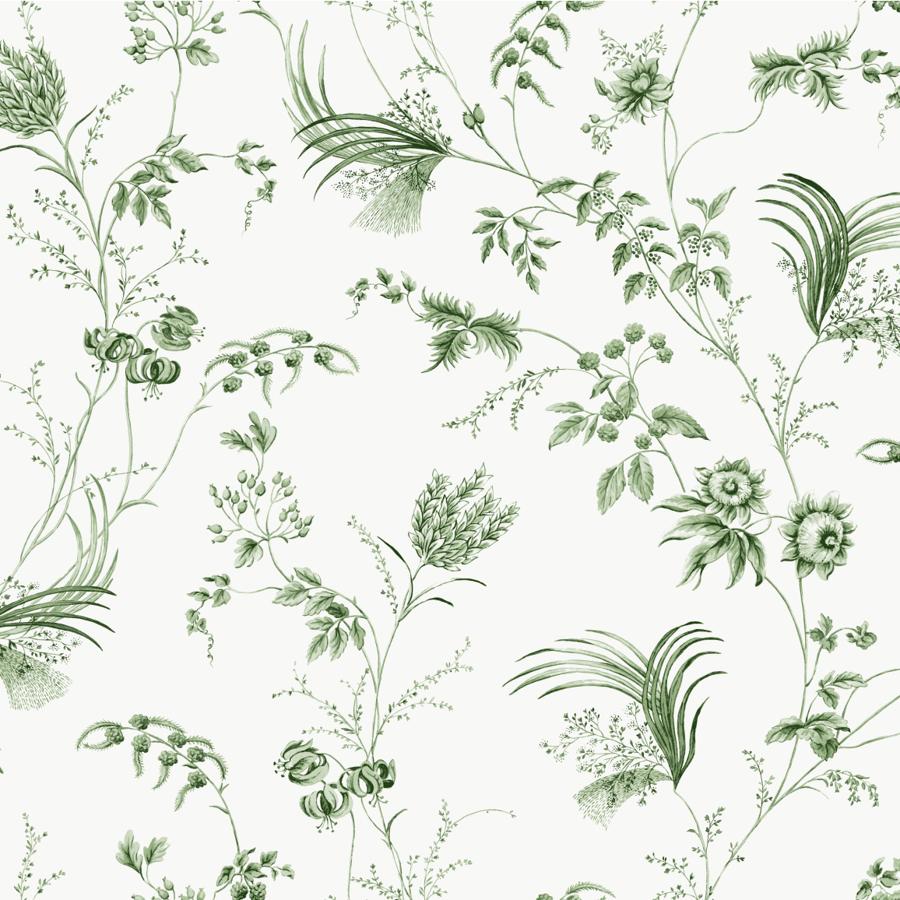 W4415-3 | Kravet Design, Green Botanical - Kravet Design Wallpaper - W4415.3.0