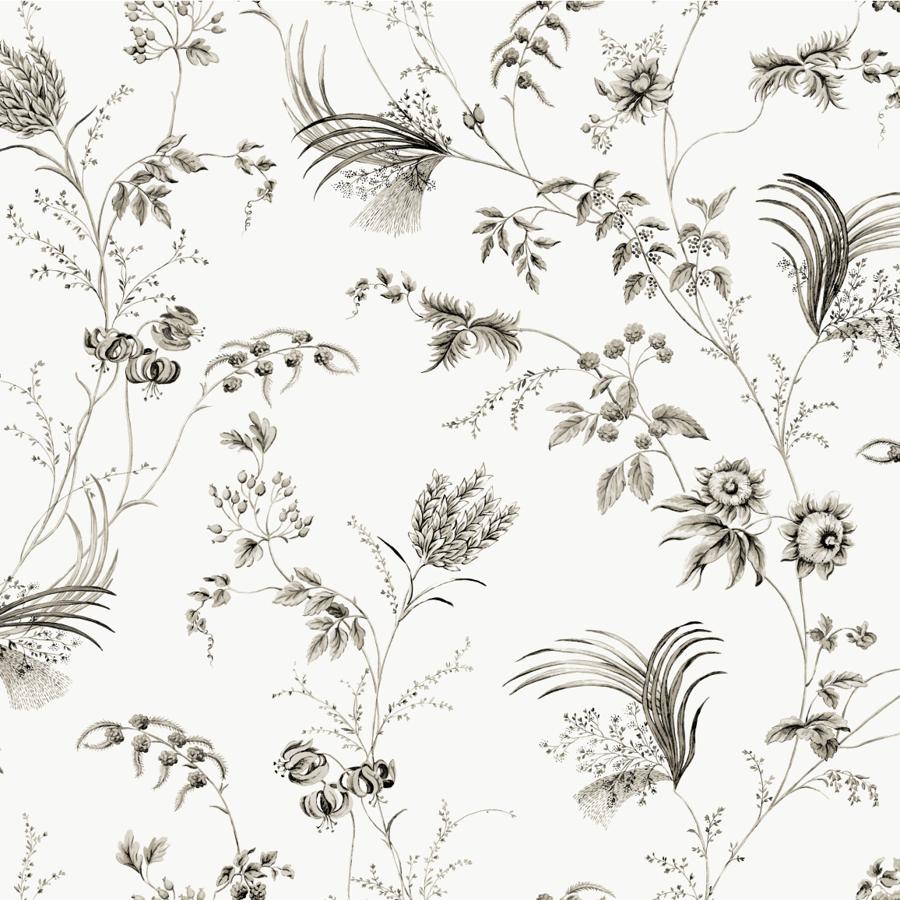 W4415-8 | Kravet Design, Black Botanical - Kravet Design Wallpaper - W4415.8.0