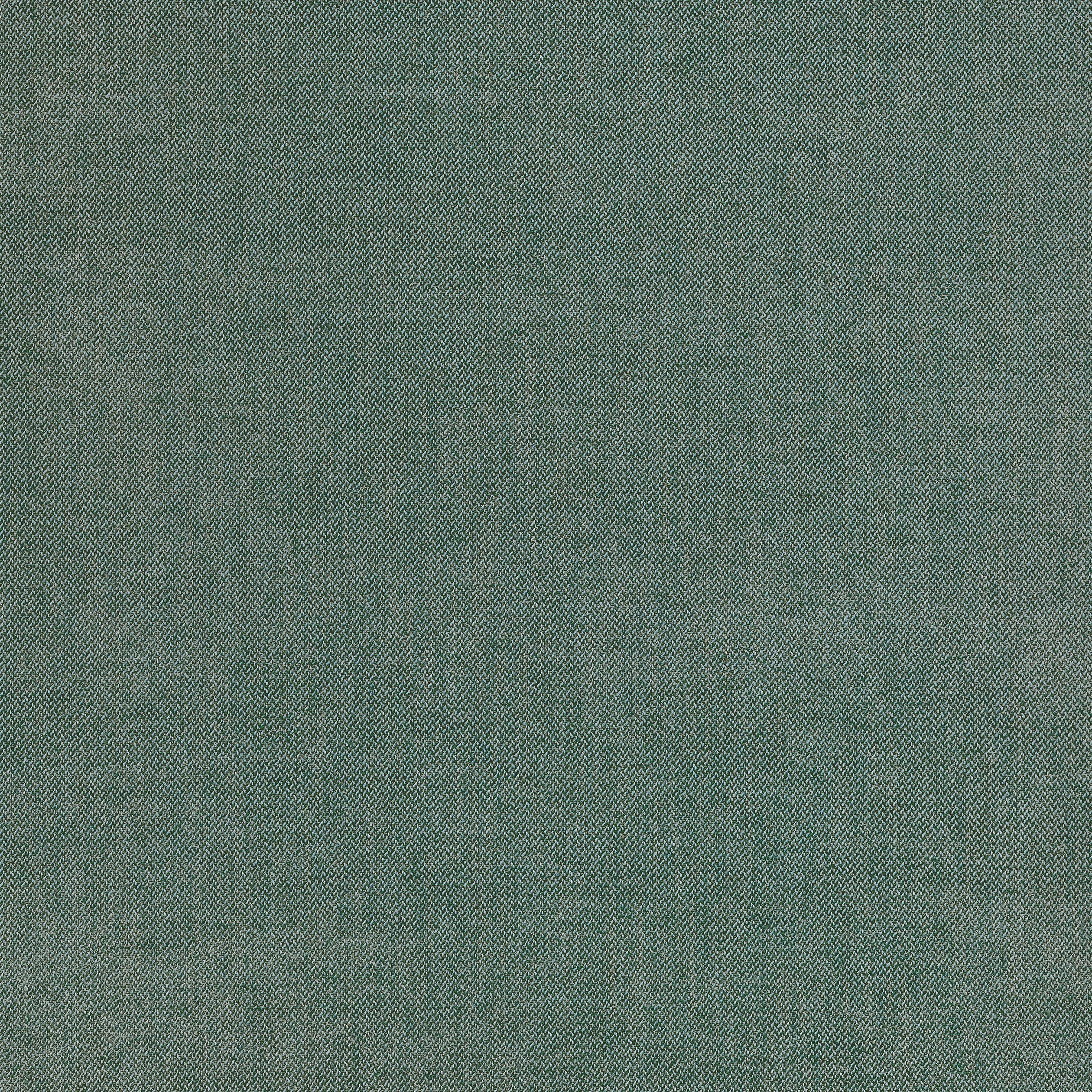W711206 | Picco, Spruce - Thibaut Fabric