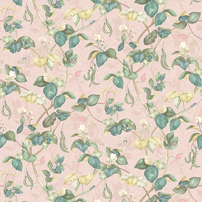 W8122-03 | Belvedere Cupani Blush - Osborne & Little Wallpaper