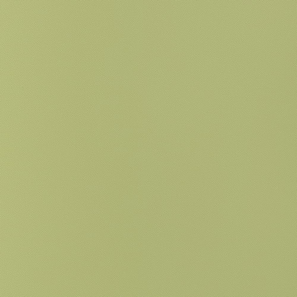 W9029 | Vegan Leathers, Salta, Apple - Thibaut Fabric